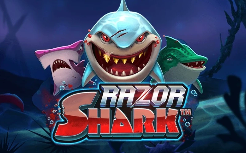 Reveal mystery shark stacks playing Razor Shark top slot games VeryWell.